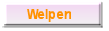 Welpen